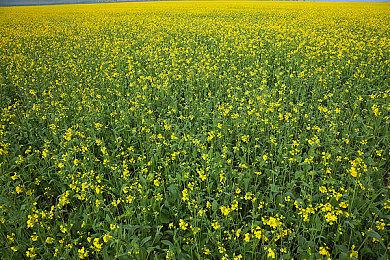 《死亡搁浅2》评分6月23日解禁 6月26日发售