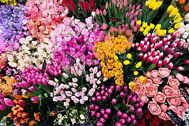 3DM速报：会免领的《FF7RE》可升级 《赛博朋克2077》地铁MOD公开